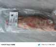 缤鲜 挪威 红石斑鱼净重500g-700g*2条  大眼鱼富贵鱼 鱼类-源头直发 实拍图