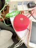 惠普（HP）S09蓝牙音响迷你低音炮家用便携音响立体声高音质音箱户外音乐播放器 红色 实拍图