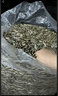奥智嘉手工diy拼豆蘑菇钉益智立体拼图早教儿童玩具3-6岁男女孩生日礼物 实拍图