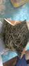 雾本兰妃2026新茶兰花香绿茶 雾本兰妃100g 冷泡兰花茶 茶叶 蒙顶山茶 实拍图