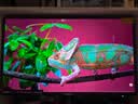 AOC爱攻 32英寸4K240Hz BlackAR3.0抗反屏 五层堆叠QD-OLED HDR500 DP2.1 TypeC电竞显示器AG326UZD2 实拍图