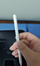 Apple/苹果 Pencil(USB-C) 磁吸触控笔手写笔苹果笔电容笔iPad笔 适用iPad 11/mini/Pro/Air 实拍图