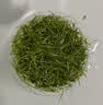疯狂水草（FKSC）无菌杯鱼缸水草高珍珠草日本珍珠草莫斯阴性草缸造景真水草植物 【前景草坪】无菌杯-迷你牛毛 实拍图