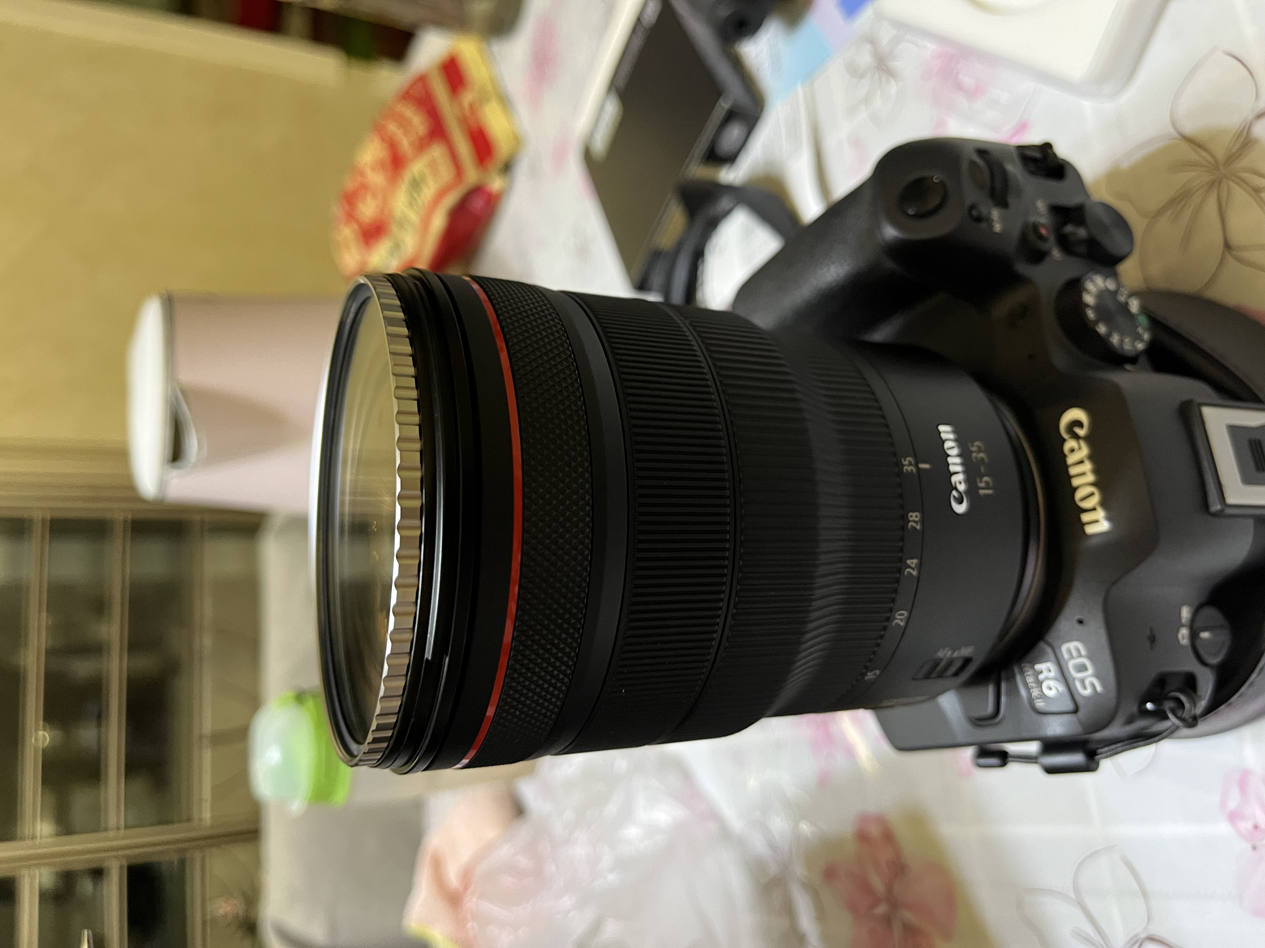 佳能（Canon）【官方旗舰】RF15-35mm F2.8 L IS USM　L级广角变焦镜头 微单（全画幅EOS R系统 R RP 专用） 实拍图