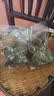 达派（dapai）德国抽真空封口机食品包装家用商用双泵电打包机保鲜塑封机全自动保鲜机干湿两用智能显示紫光杀菌 DS2803干湿两用(下单享真空袋子) 实拍图
