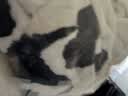 野兽派家居（tbh）毛毯 家用法兰绒毯子 熊猫香味毯 办公室午睡毯 客厅沙发盖毯 熊猫嘭嘭 法兰绒暖香毯 150cm*200cm 实拍图