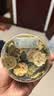 禾沐康 苦瓜干40g/瓶（精选）中药饮片 苦瓜片 消暑清热 清肝明目 解毒 健胃 中药材 实拍图