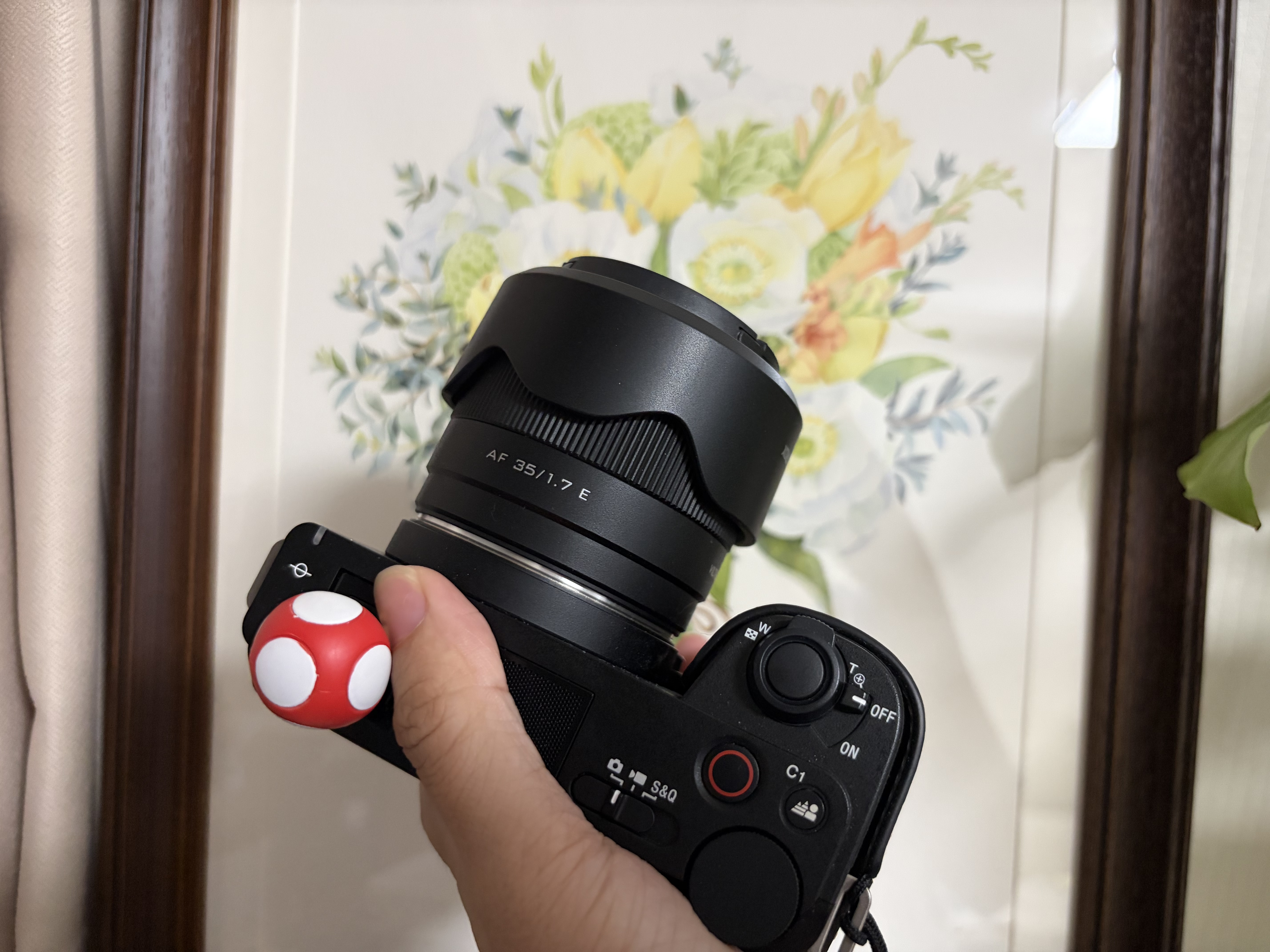 唯卓仕（VILTROX）AF 35mm F1.7 E索尼口大光圈自动对焦人文定焦镜头适用于a6400 FX30 a6700 ZV-E10II微单相机  实拍图