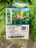 散叶生菜约400g 实拍图