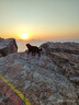 云南白药牙膏口腔护理经典套装 护龈亮白祛渍 清新口气3支装535g+牙刷2支 实拍图