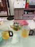 泥也水杯玻璃茶杯套装耐热高硼硅泡绿茶木把办公杯家用凉沥水杯架整套 实拍图