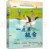 一点点机会 长常青藤国际大奖小说书系 美国父母选择奖银奖 实拍图