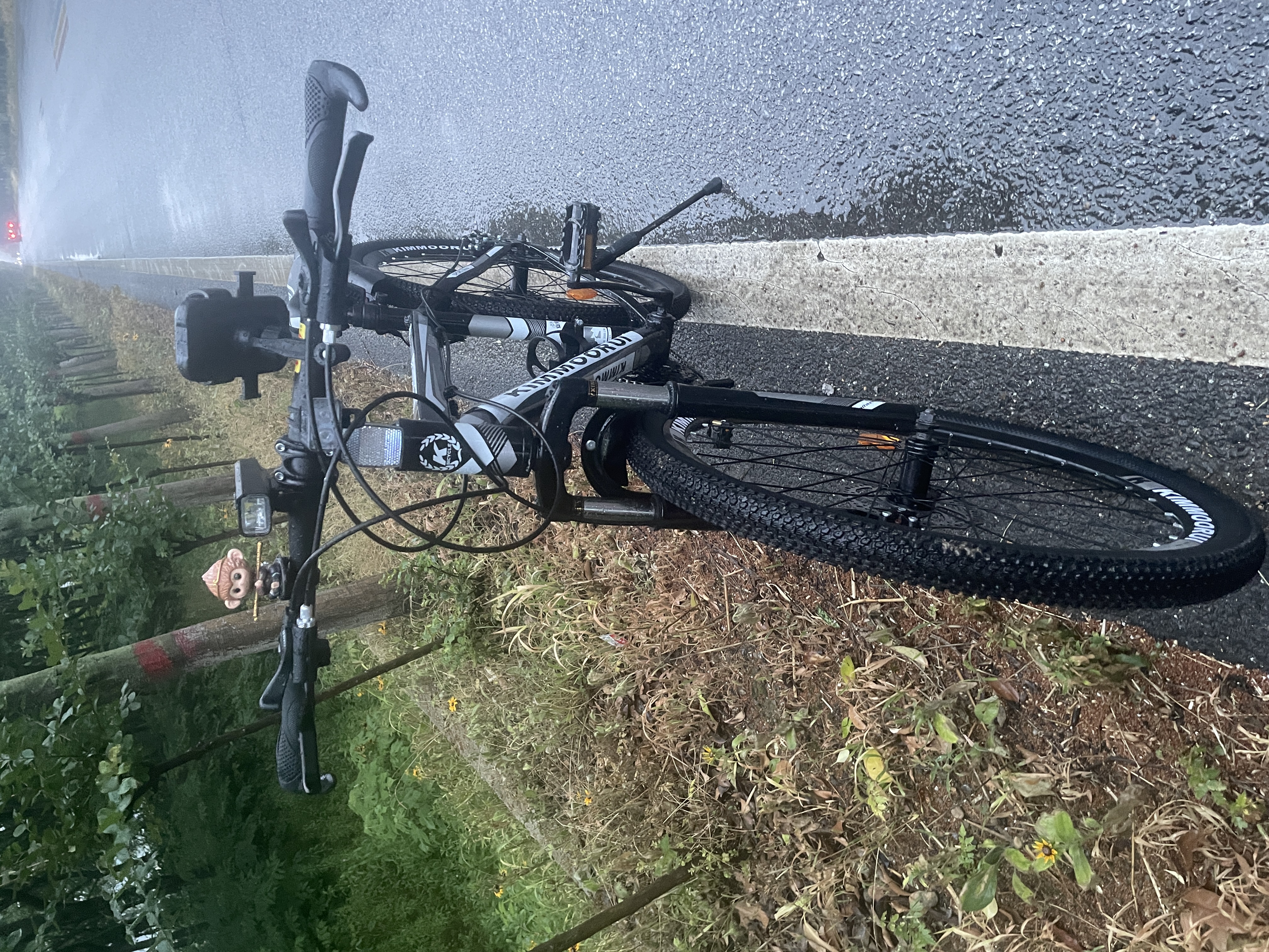 金武端自行车成人山地车公路赛车单车骑行变速超轻越野中学生初中青少年 减震辐条-黑白色【铝架】【整车发货免调试】 26寸24速 实拍图
