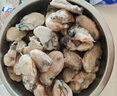 海鼎纪冷冻生蚝肉800g (400g*2)  牡蛎肉 火锅烧烤食材海鲜生鲜 实拍图
