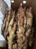 京地达山东带泥红芽嫩姜仔姜净重5斤单果50g+醋泡嫩姜源头直发包邮 实拍图