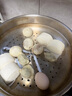 思念嵊州黑猪肉老面小笼包800g32个 肉包手工速食包子早餐半成品面点 实拍图