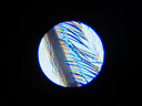 科学罐头（Science  can）显微镜儿童生日礼物学生便携式男女孩6-12岁益智玩具户外礼盒装 实拍图