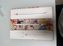 Apple/苹果 Pencil Pro 磁吸触控笔手写笔苹果笔电容笔书写绘画iPad笔 适用于iPad Pro/Air/mini机型 实拍图