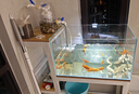BESSN贝森金晶五线汽车级超白缸玻璃鱼缸客厅裸缸家用水草溪流缸 70*40*40cm8mm厚金晶五线超白送货上楼 实拍图