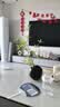 京东鲜花仿真绿植石榴枝2支乔迁客厅装饰插花仿生植物花艺高级感摆件 实拍图