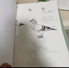 2册《花卉动物速写描摹本》零基础画画入门新手自学教程书籍线描花卉临摹手绘初学者学绘画教材铅笔画素描速写 实拍图