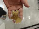 马上有钱小马挂件趣味玩具 马上有钱+棕色皮扣【1套】 实拍图