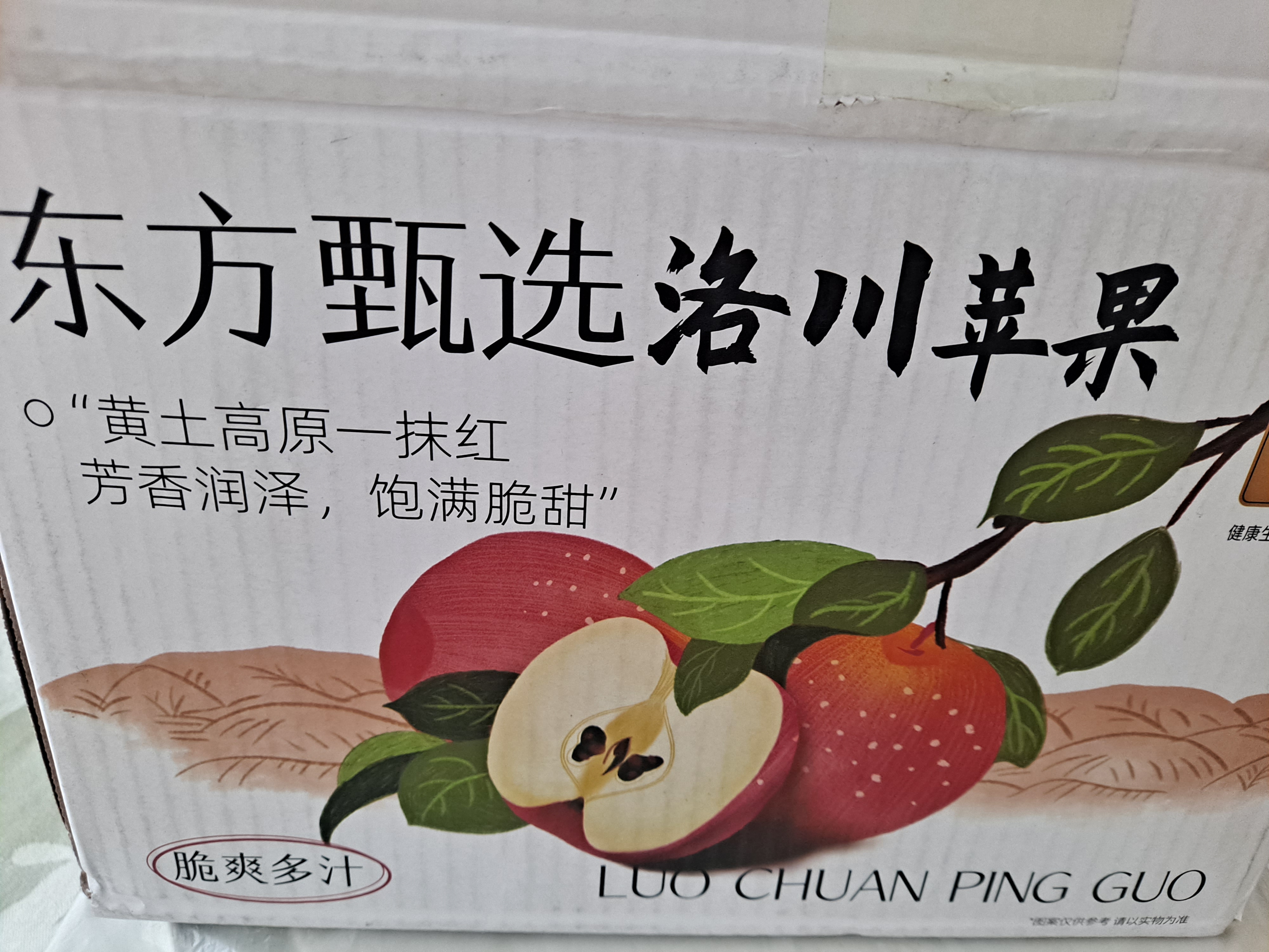 东方甄选洛川苹果脆甜多汁富士苹果新鲜水果坏果包赔 4斤-8.5装 4斤 （特小果 150g+ 11-14个） 实拍图