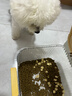 汪爸爸 无谷鲜肉冻干狗粮 幼犬成犬全阶段通用犬粮宠物食品 鸭肉梨清火配方 2kg 实拍图