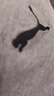 彪马（PUMA）纯棉纯色宽松短袖T恤男女款新款夏季运动上衣 690409 黑色-01 S (170/92A) 实拍图
