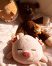 名创优品（MINISO）小猪B-BO翅膀款趴毛绒公仔玩具玩偶抱枕娃娃靠枕生日礼物女 实拍图