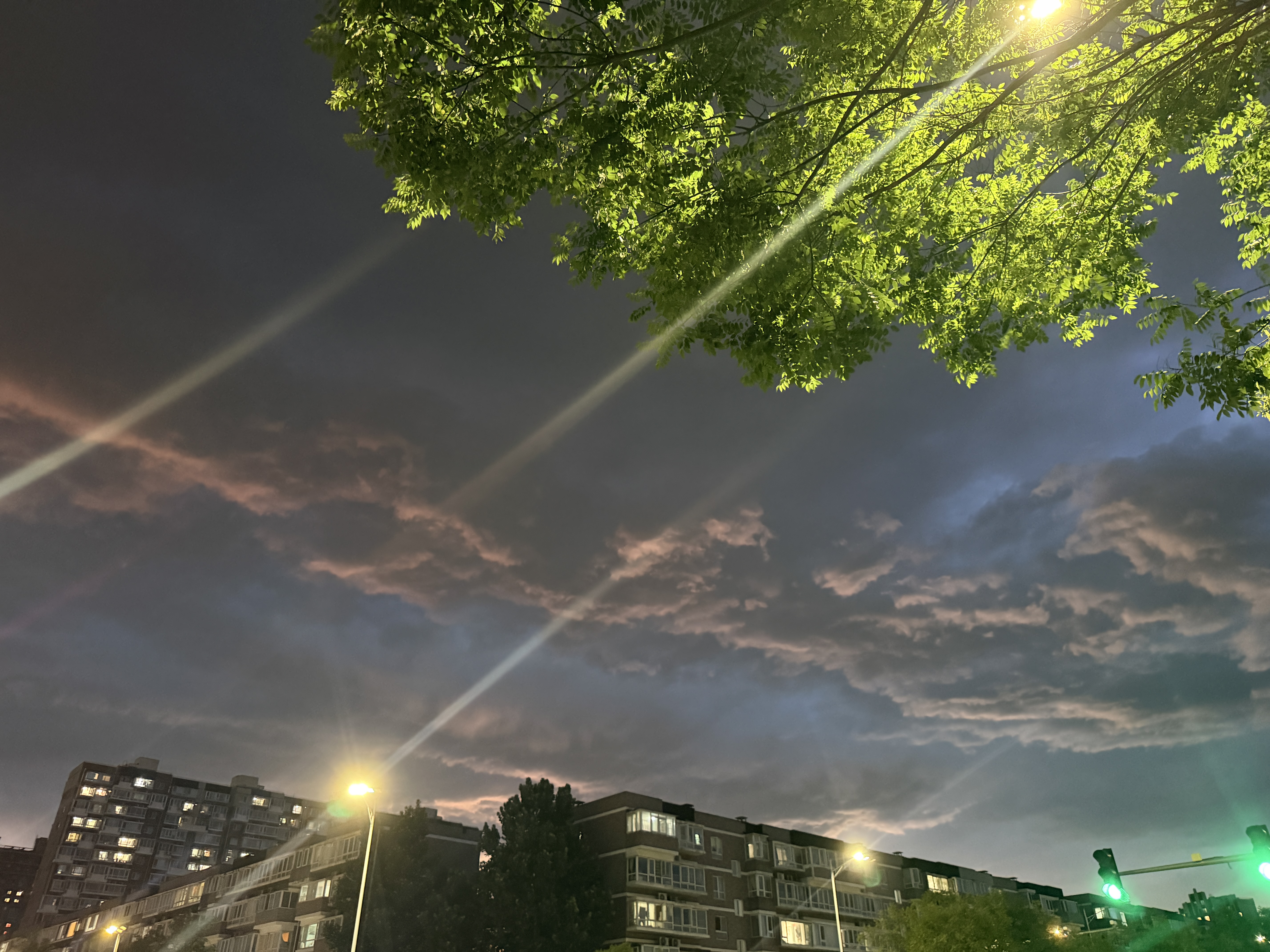 优衣库棉莫代尔混纺圆领针织开衫女装/毛衣毛衫外套26新款482977 03 灰色 L 实拍图