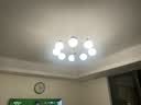 雷士（NVC）全光谱中古风客厅吊灯法式复古护眼吊灯高级感客厅主灯 拾光8头 带9瓦全光谱灯泡 实拍图