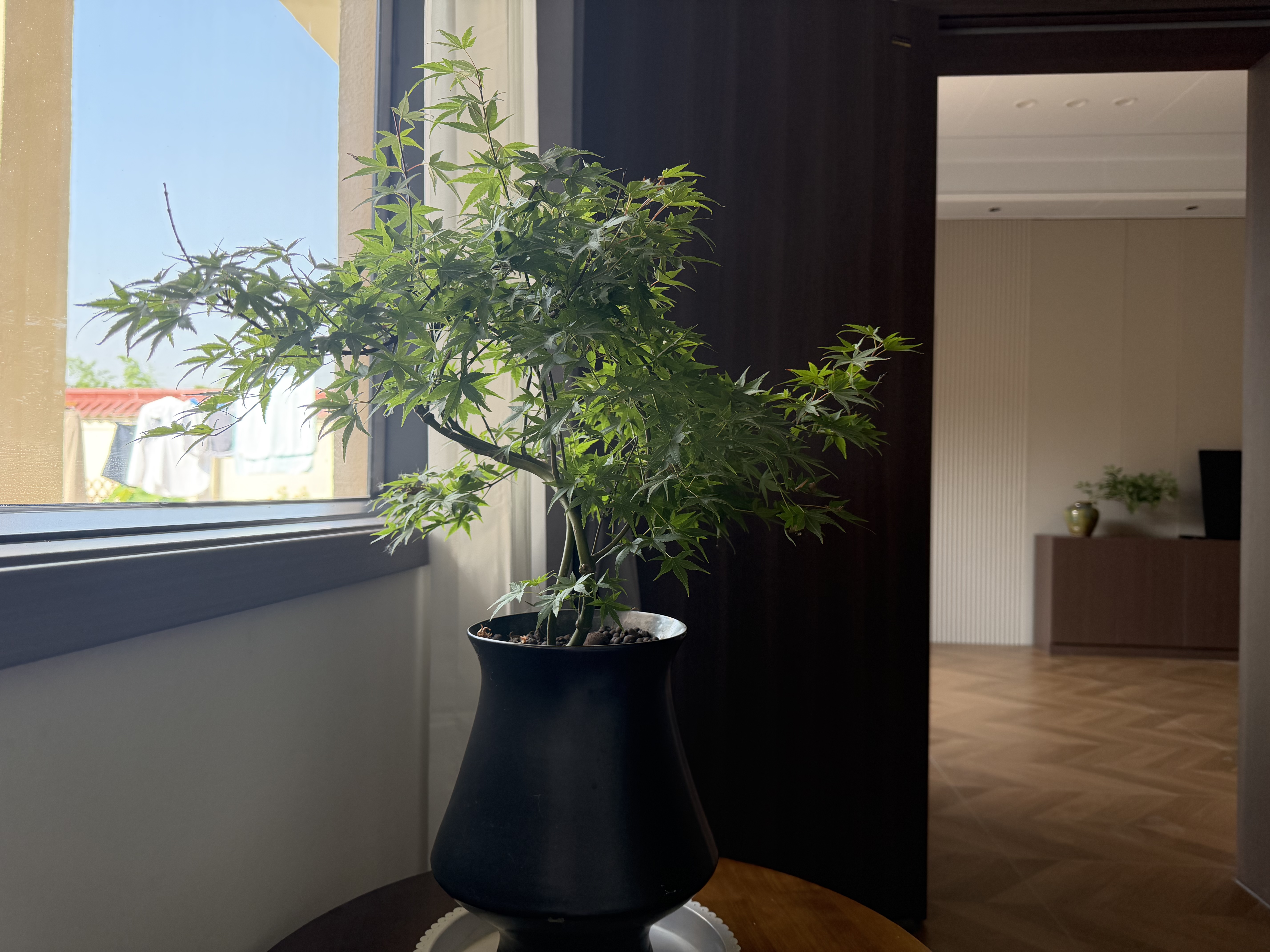 希诺（heenoor）双层玻璃杯男士耐热防烫带把带手柄商务办公玻璃水杯过滤茶杯子 小熊杯盖-双层带滤网290ml 实拍图