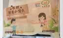 九洲丰园有机藜麦小馒头520g/20只 儿童早餐食品半成品早饭面点粗粮馒头 实拍图