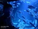 得力（deli）迷你复古机械闹钟低噪夜光卧室床头闹钟儿童 学生启蒙闹钟 黑色9024开学开学季新年礼物礼物 实拍图