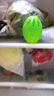 水卫士冰箱除味剂30g*4颗除味盒除臭剂家用抑菌去异味净化吸附可冷冻 实拍图
