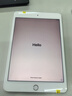 Apple 苹果平板电脑 iPad mini5 二手平板电脑 银色 64G WiFi 实拍图