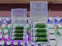 品胜（PISEN）5号/7号充电锂电池充电仓套装 1.5V快充充电器适用游戏手柄/键鼠/话筒/遥控器/电动玩具等 实拍图