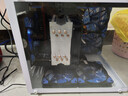 英特尔（Intel）三十六线程电脑整机二手台式机RX6600XT 8G独显直播黑神话吃鸡主机建模渲染DIY组装全套 四：英特尔十二核16G+740G+GTX1650 主机+24寸全新完美无瑕A规屏【终 实拍图