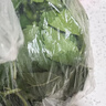 沃绣 【当天发货】新鲜桑叶 现摘大小蚕嫩桑叶新鲜大桑叶养蚕宝宝食物 新鲜桑叶100g【买二送一】 实拍图