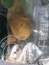 应季新土豆约1kg 实拍图