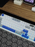 雷柏（Rapoo）V700DIY-98升级款 三模客制化无线机械键盘gasket结构7层填充消音全键热插拔键盘 白灰蓝(弹白轴) 实拍图