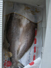 深海七星三去开背免洗海鲈鱼真空活鱼新鲜速冻清蒸高营养净重 600克-700克 开背海鲈鱼5条【条条精选】爱吃鱼首选 实拍图