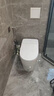 东芝（TOSHIBA）智能马桶小海豚MINI带水箱全功能虹吸式家用S205-305 实拍图