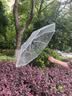 范爷家ins风透明雨伞女自动伞折叠韩系高颜值三折学生磨砂伞网红拍照伞 实拍图