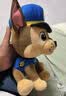 汪汪队立大功（PAW PATROL）毛绒玩具陪睡玩偶经典款阿奇中号坐姿公仔男女孩儿童生日礼物 实拍图