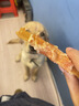 德玛先生宠物零食狗狗零食鸡肉缠薯条磨牙棒红薯鸡肉干肉条小狗训练500g 实拍图