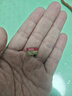 闪迪（SanDisk）1TB TF(MicroSD)内存卡4K极速金卡A2 V30 U3兼容大疆Pocket3/4P/Action 6运动相机/无人机存储卡 实拍图