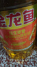 金龙鱼 食用油 花生浓香型浸出  食用植物调和油5L（新老包装随机发货） 实拍图