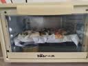 小熊（Bear）电烤箱 10L家用多功能 迷你容量S型发热管 定时控温旋钮操控 免预热小型烤箱 F10N3 实拍图